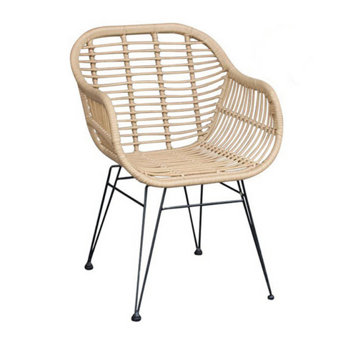 Hadley Rattan Dining Chair With Arms  (set of 2) - Joshua Interiors Home Furniture and Accessories