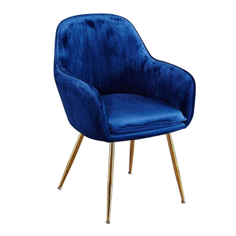 Lara Gold And Royal Blue Velvet Dining Chair (Comes as a Pair ) - Joshua Interiors Home Furniture and Accessories